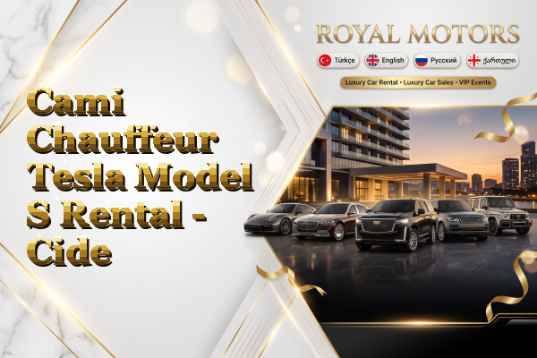 Cami Chauffeur Tesla Model S Rental - Cide
