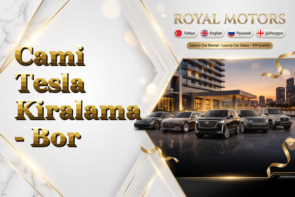 Cami Tesla Kiralama - Bor