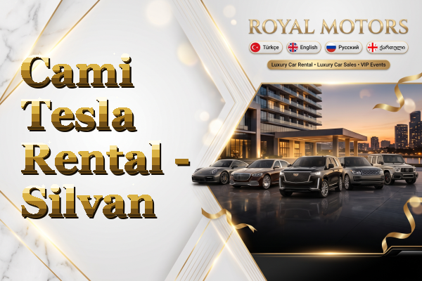 Cami Tesla Rental - Silvan