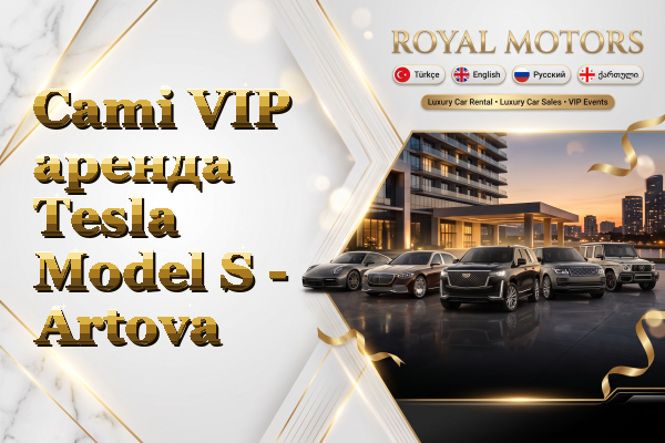 Cami VIP аренда Tesla Model S - Artova