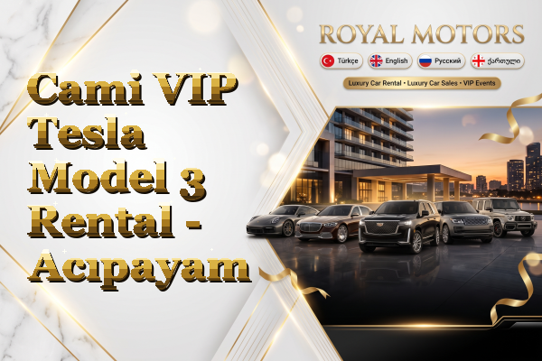 Cami VIP Tesla Model 3 Rental - Acıpayam