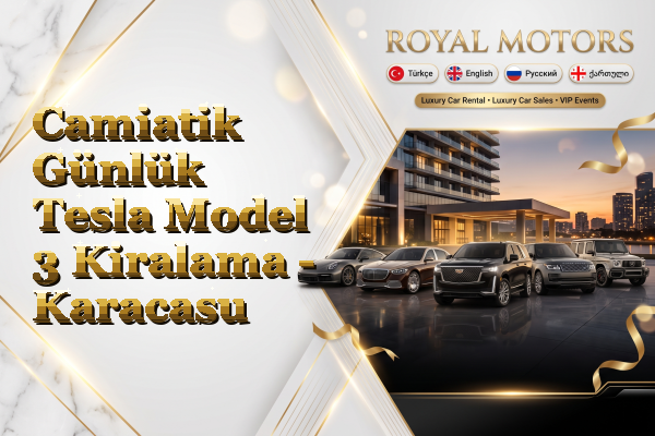 Camiatik Günlük Tesla Model 3 Kiralama - Karacasu