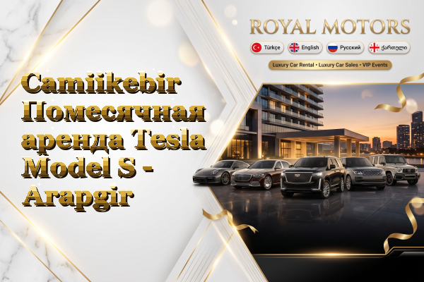 Camiikebir Помесячная аренда Tesla Model S - Arapgir
