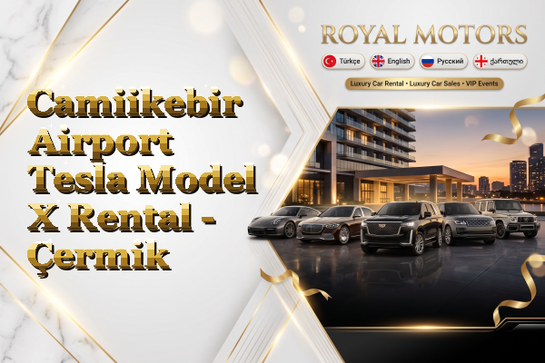 Camiikebir Airport Tesla Model X Rental - Çermik