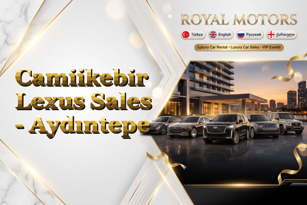 Camiikebir Lexus Sales - Aydıntepe