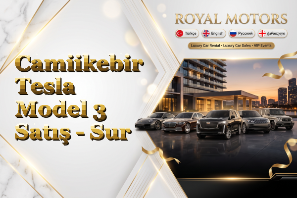 Camiikebir Tesla Model 3 Satış - Sur