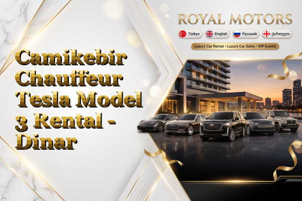Camikebir Chauffeur Tesla Model 3 Rental - Dinar