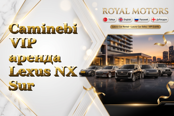 Caminebi VIP аренда Lexus NX - Sur