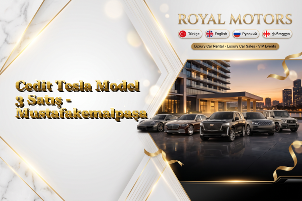 Cedit Tesla Model 3 Satış - Mustafakemalpaşa