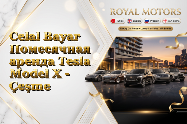 Celal Bayar Помесячная аренда Tesla Model X - Çeşme