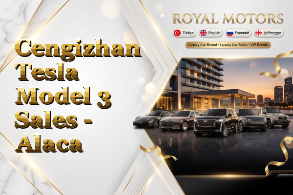 Cengizhan Tesla Model 3 Sales - Alaca