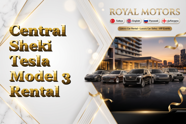 Central Sheki Tesla Model 3 Rental