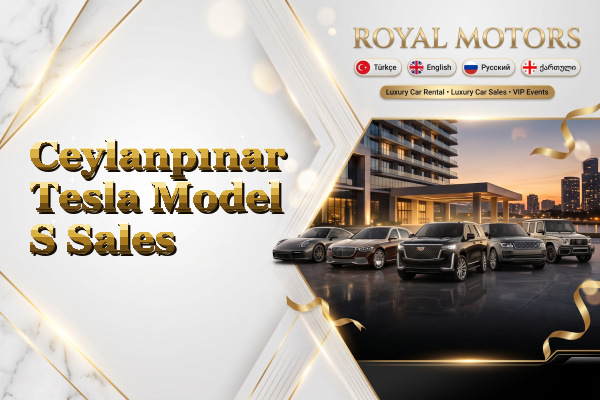 Ceylanpınar Tesla Model S Sales