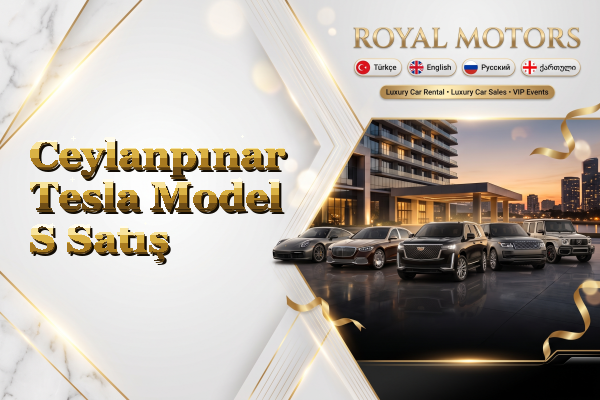 Ceylanpınar Tesla Model S Satış