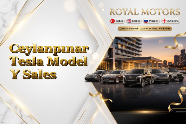 Ceylanpınar Tesla Model Y Sales