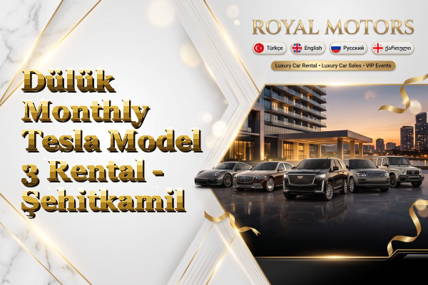Dülük Monthly Tesla Model 3 Rental - Şehitkamil