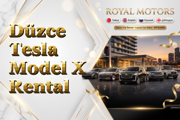 Düzce Tesla Model X Rental