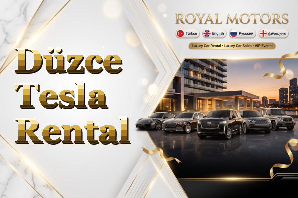 Düzce Tesla Rental