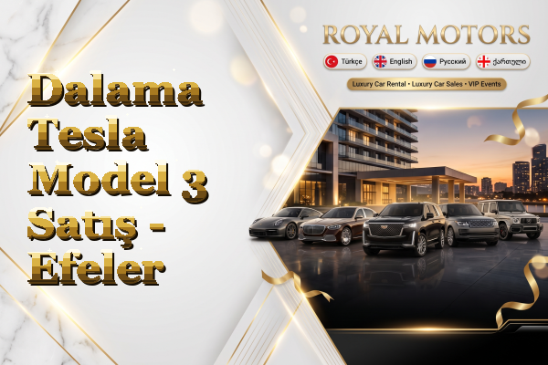 Dalama Tesla Model 3 Satış - Efeler