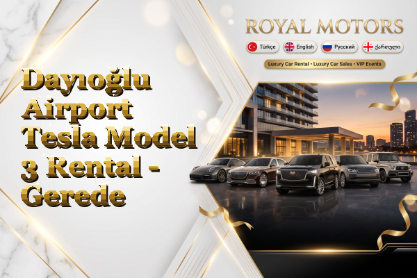 Dayıoğlu Airport Tesla Model 3 Rental - Gerede