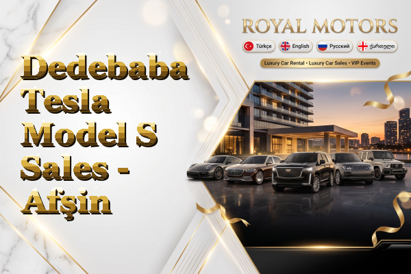 Dedebaba Tesla Model S Sales - Afşin
