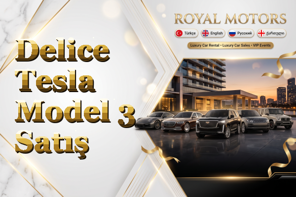 Delice Tesla Model 3 Satış