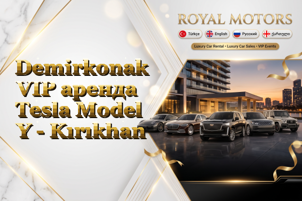 Demirkonak VIP аренда Tesla Model Y - Kırıkhan