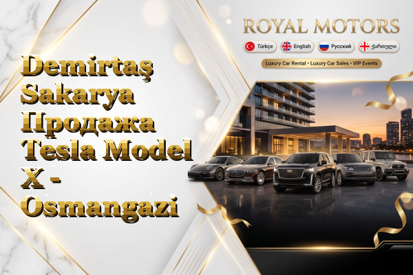 Demirtaş Sakarya Продажа Tesla Model X - Osmangazi