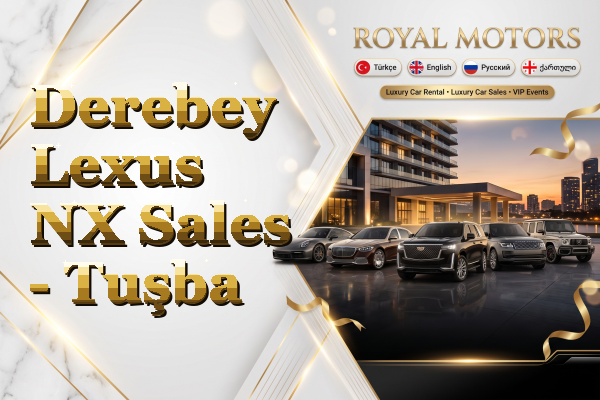 Derebey Lexus NX Sales - Tuşba