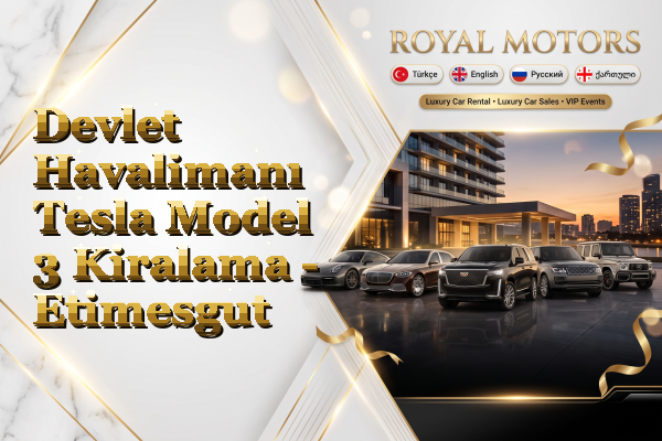 Devlet Havalimanı Tesla Model 3 Kiralama - Etimesgut