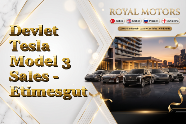 Devlet Tesla Model 3 Sales - Etimesgut