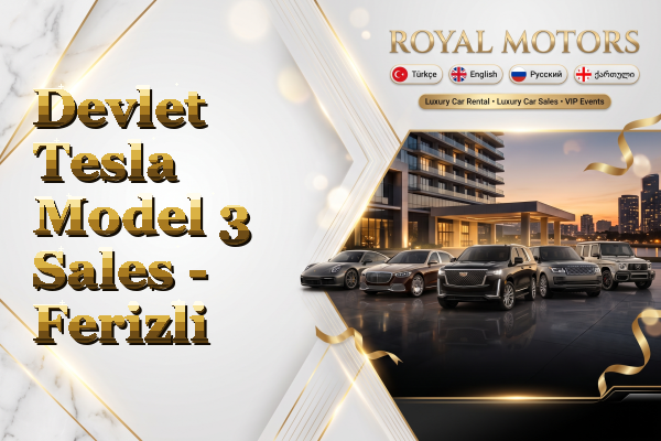 Devlet Tesla Model 3 Sales - Ferizli