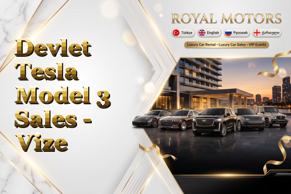 Devlet Tesla Model 3 Sales - Vize