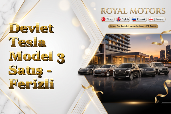 Devlet Tesla Model 3 Satış - Ferizli