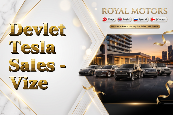Devlet Tesla Sales - Vize