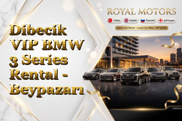 Dibecik VIP BMW 3 Series Rental - Beypazarı