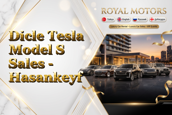 Dicle Tesla Model S Sales - Hasankeyf