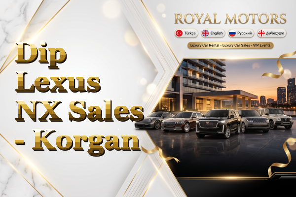 Dip Lexus NX Sales - Korgan