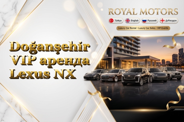 Doğanşehir VIP аренда Lexus NX