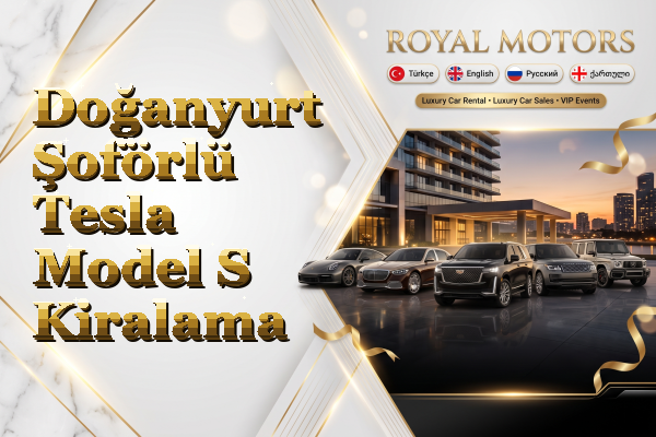 Doğanyurt Şoförlü Tesla Model S Kiralama