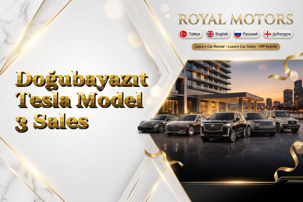 Doğubayazıt Tesla Model 3 Sales