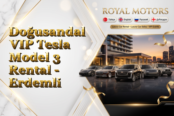 Doğusandal VIP Tesla Model 3 Rental - Erdemli
