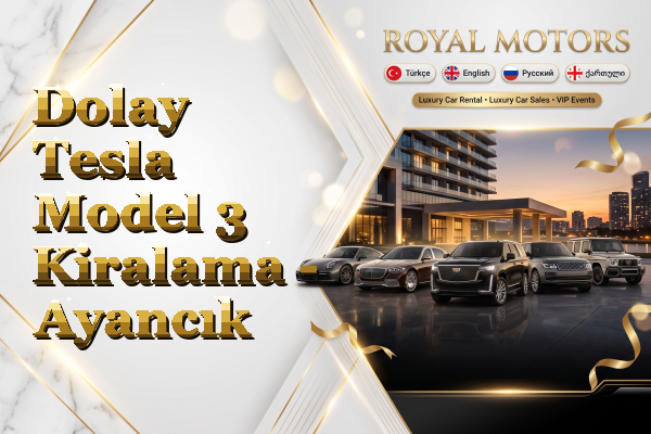 Dolay Tesla Model 3 Kiralama - Ayancık