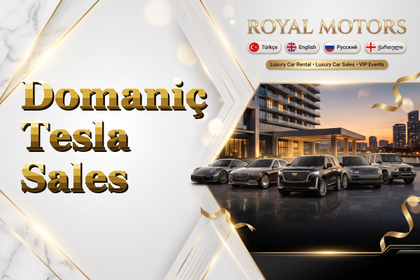 Domaniç Tesla Sales