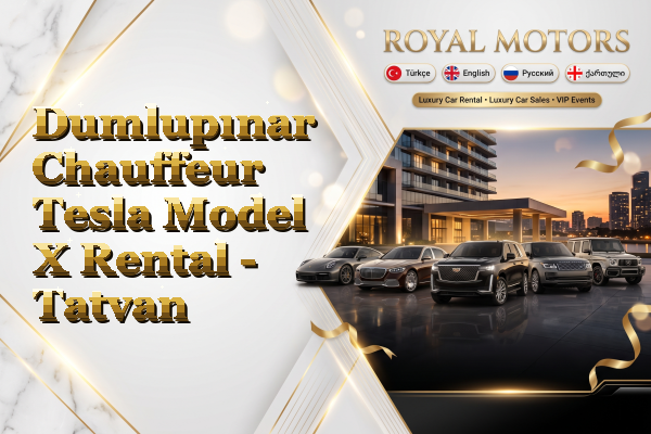 Dumlupınar Chauffeur Tesla Model X Rental - Tatvan