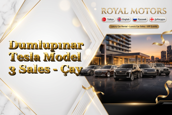 Dumlupınar Tesla Model 3 Sales - Çay