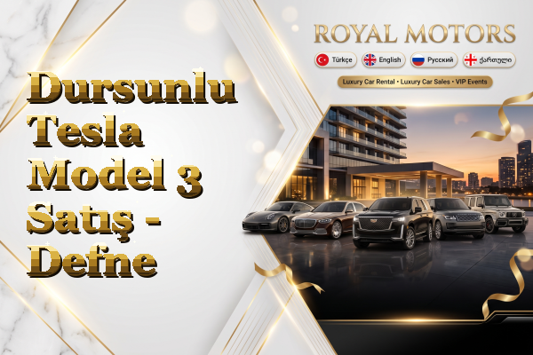 Dursunlu Tesla Model 3 Satış - Defne