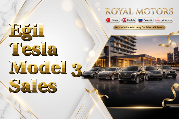 Eğil Tesla Model 3 Sales
