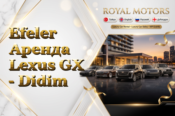 Efeler Аренда Lexus GX - Didim