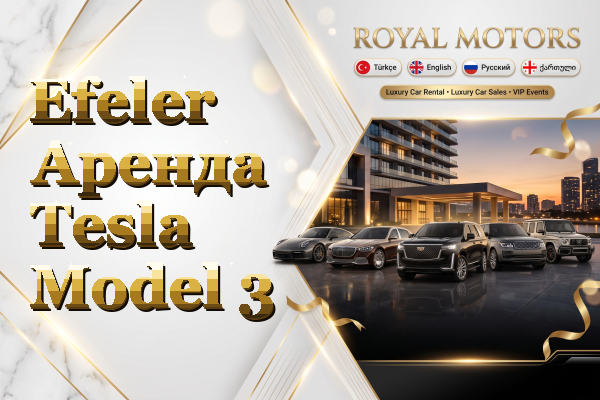 Efeler Аренда Tesla Model 3